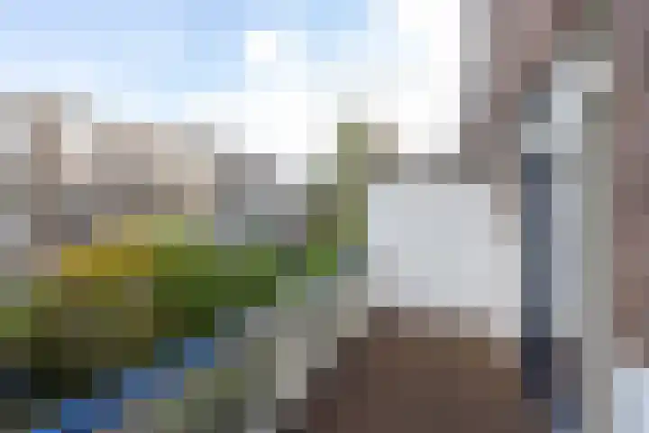 Schiebroeksestraat 10 Rotterdam thumbnail 14