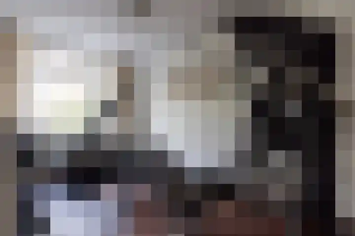 Schiebroeksestraat 10 Rotterdam thumbnail 18