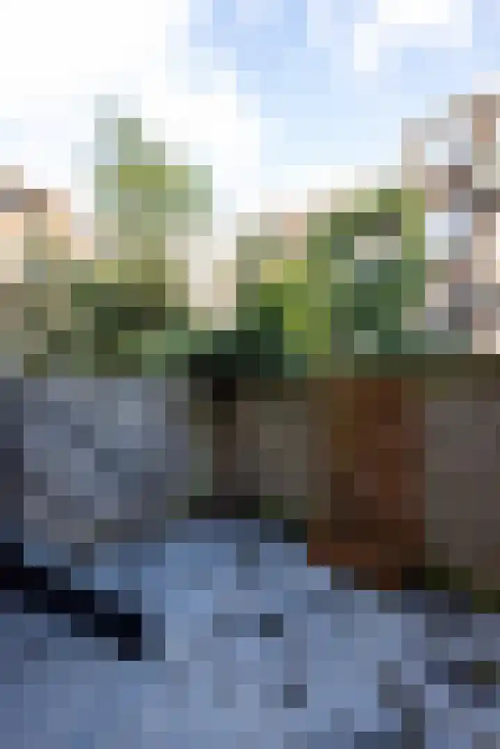 Schiebroeksestraat 10 Rotterdam thumbnail 22