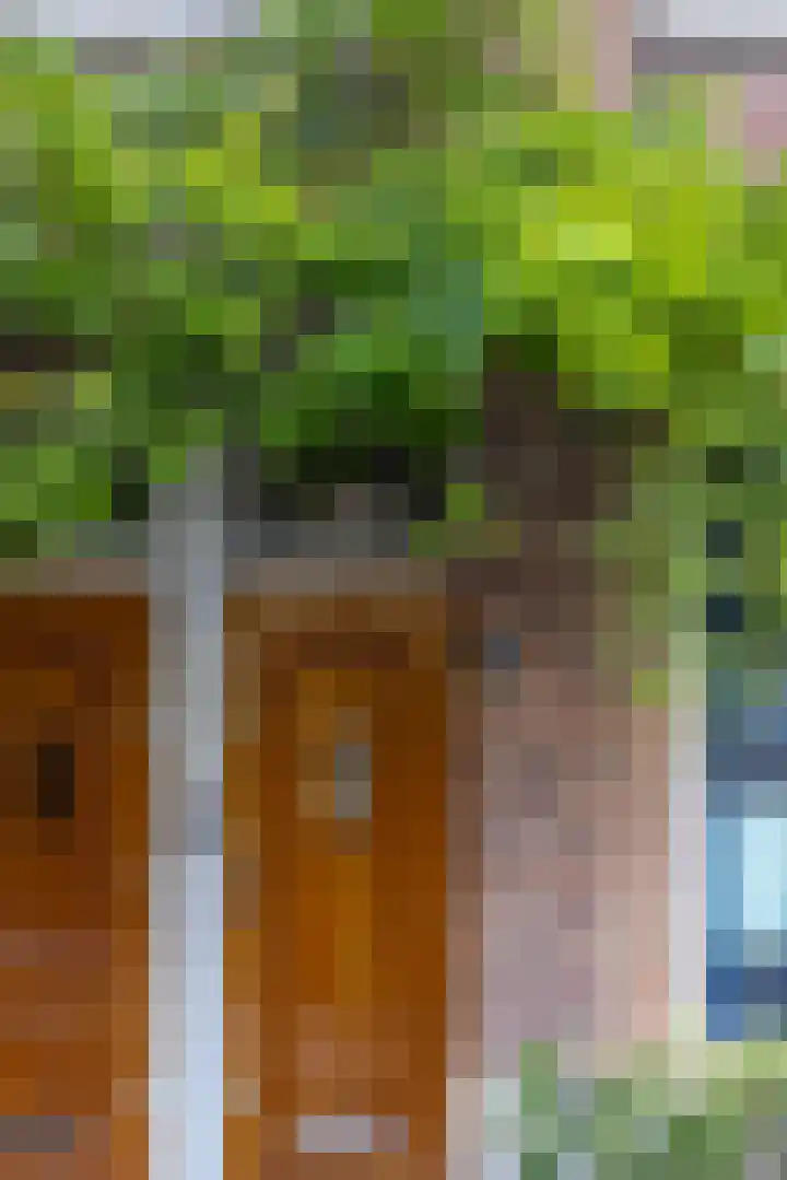 Schiebroeksestraat 10 Rotterdam thumbnail 6