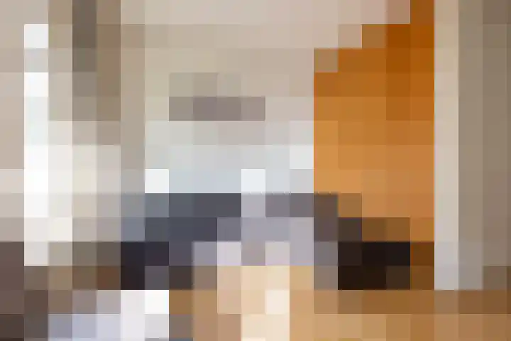 Schiebroeksestraat 10 Rotterdam thumbnail 8