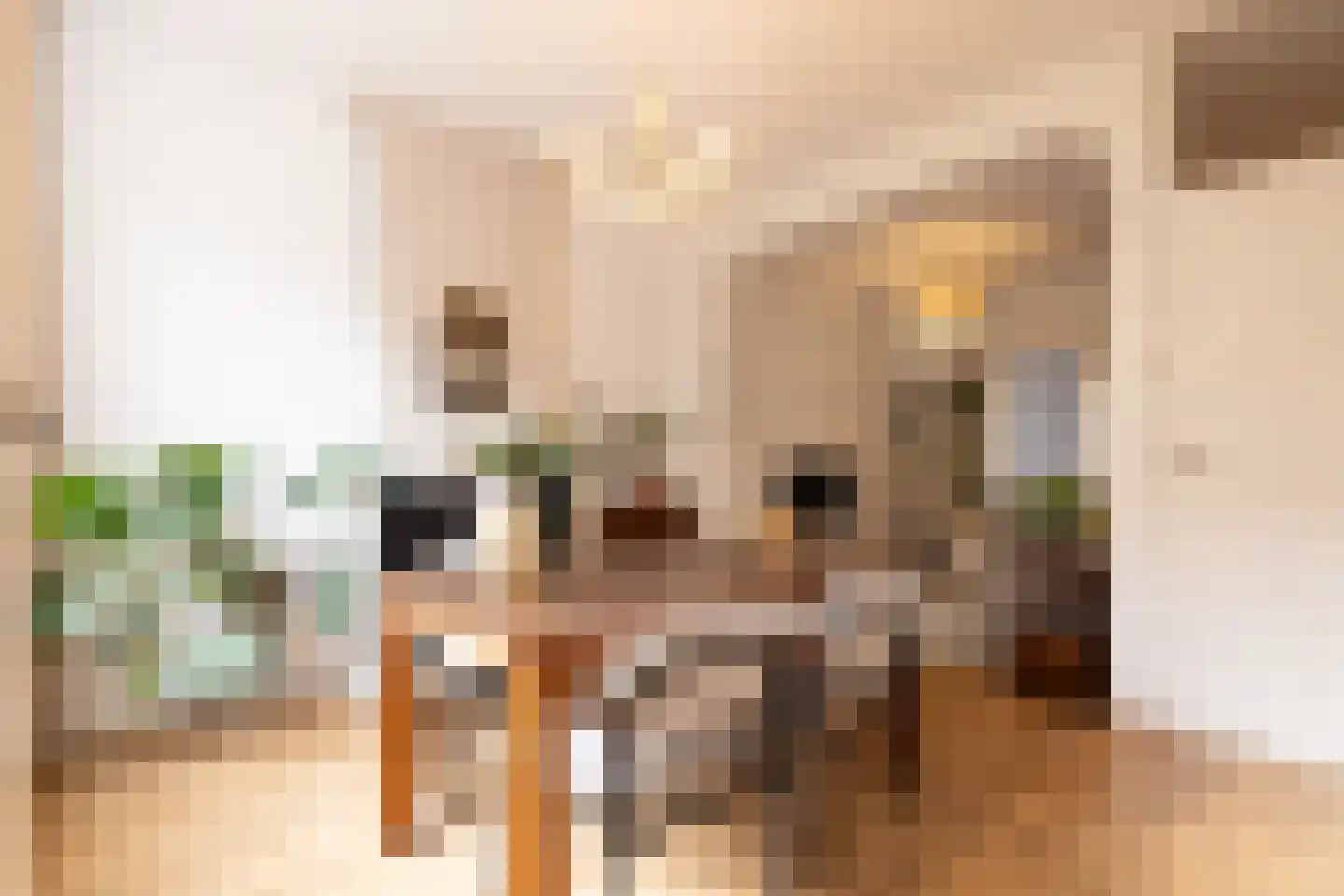 Schiebroeksestraat 12 B Rotterdam thumbnail 12