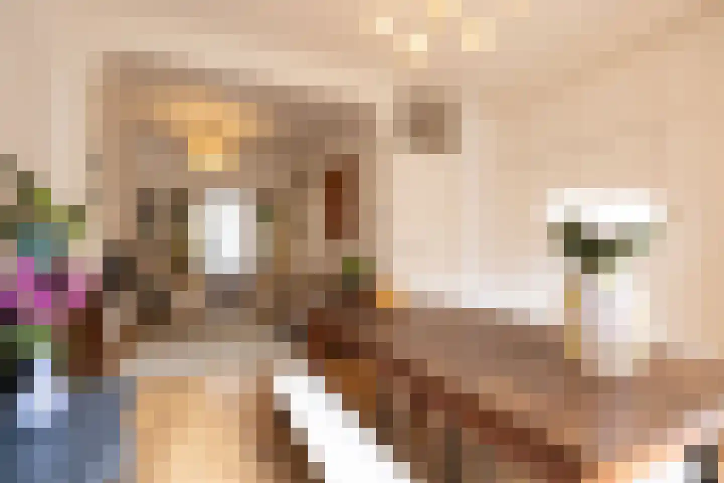 Schiebroeksestraat 12 B Rotterdam thumbnail 14