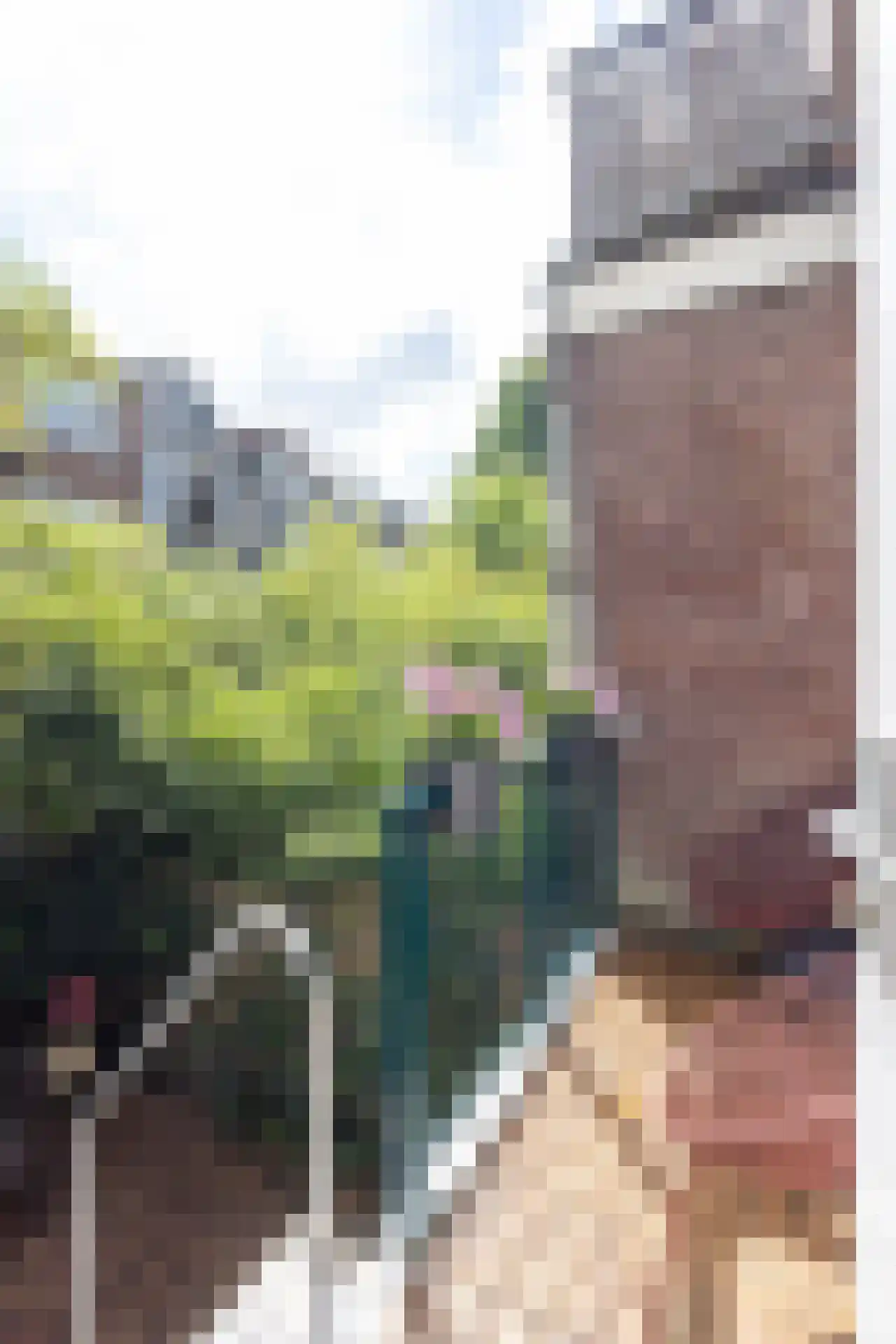 Schiebroeksestraat 12 B Rotterdam thumbnail 20