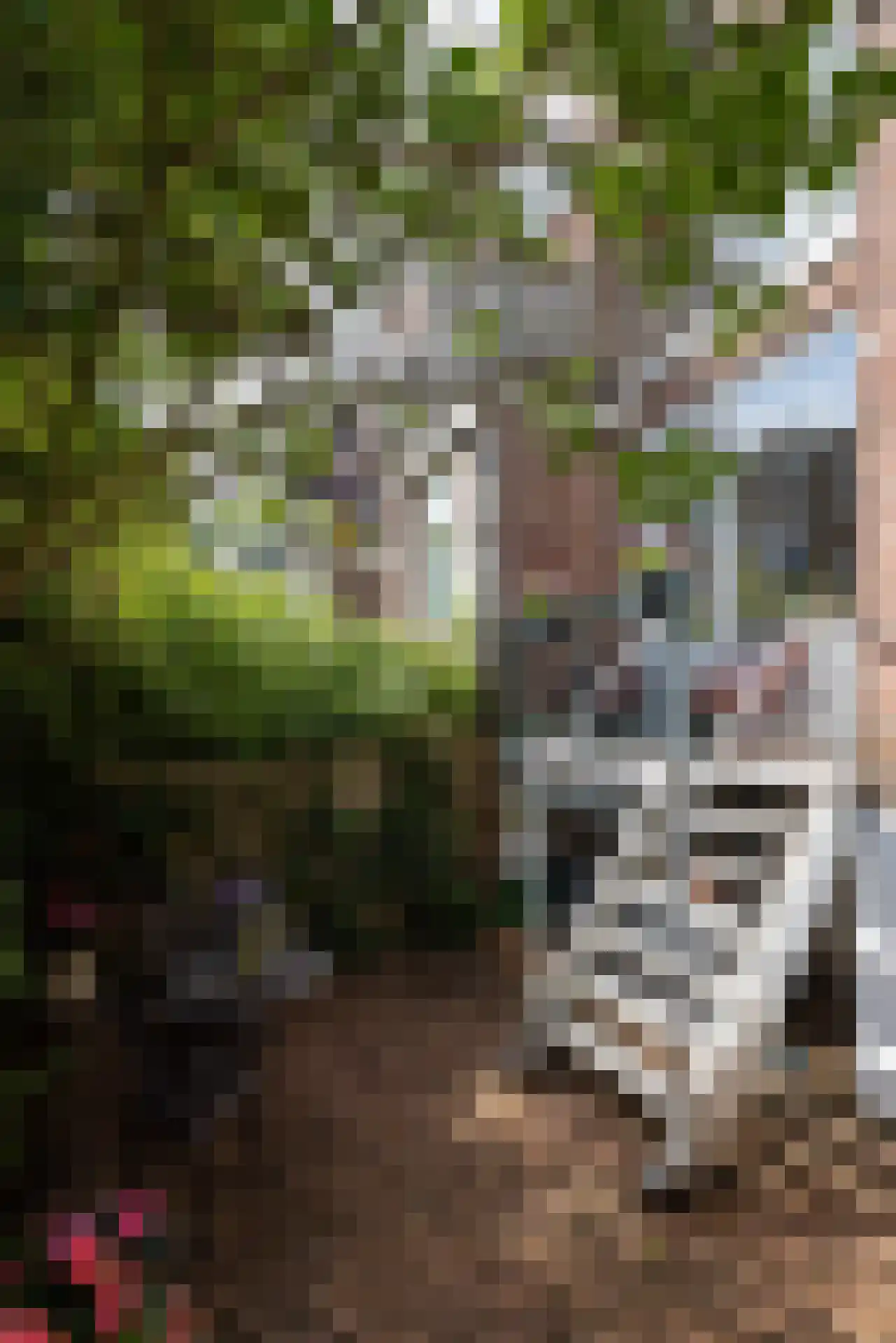 Schiebroeksestraat 12 B Rotterdam thumbnail 22