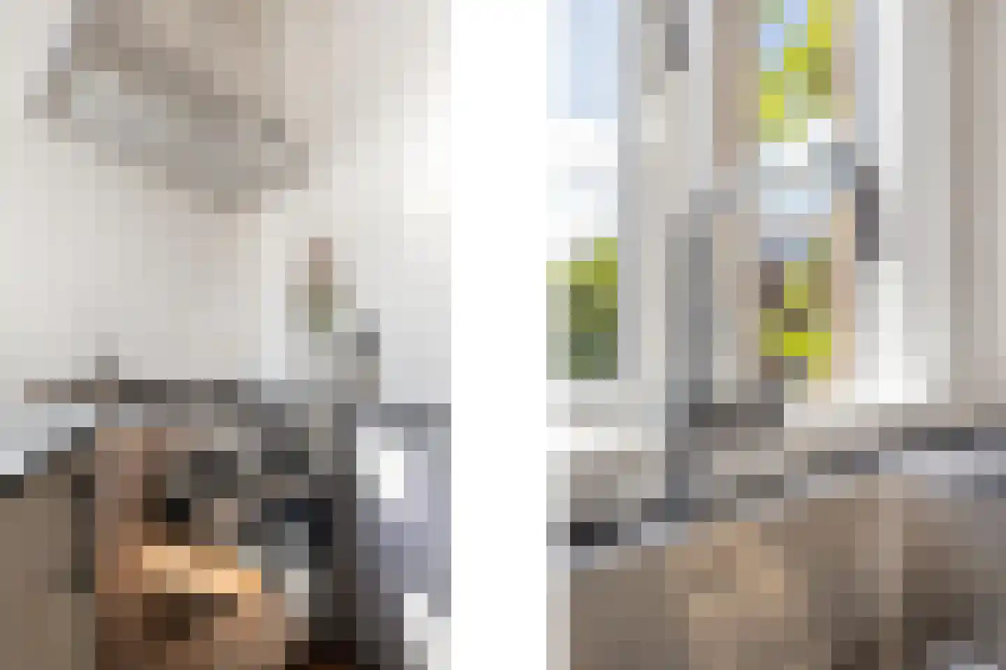 Schiebroekseweg 22 Rotterdam thumbnail 15