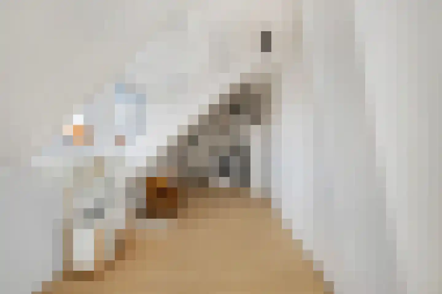 Schiebroekseweg 22 Rotterdam thumbnail 32