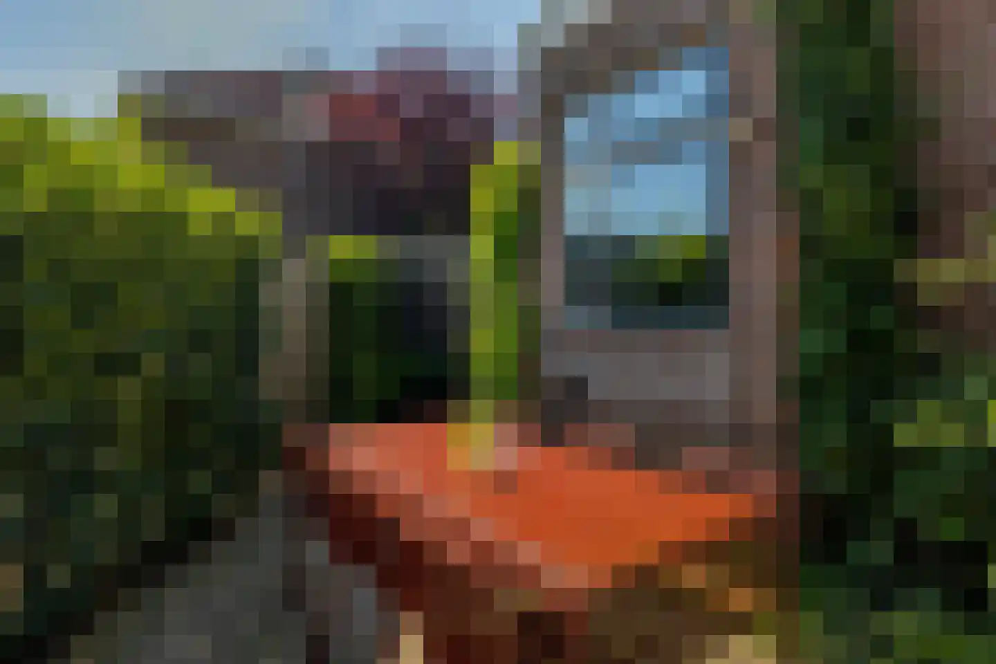 Schiebroekseweg 22 Rotterdam thumbnail 34