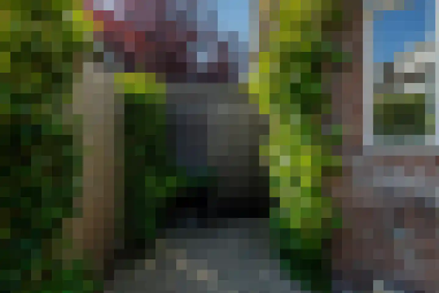 Schiebroekseweg 22 Rotterdam thumbnail 35