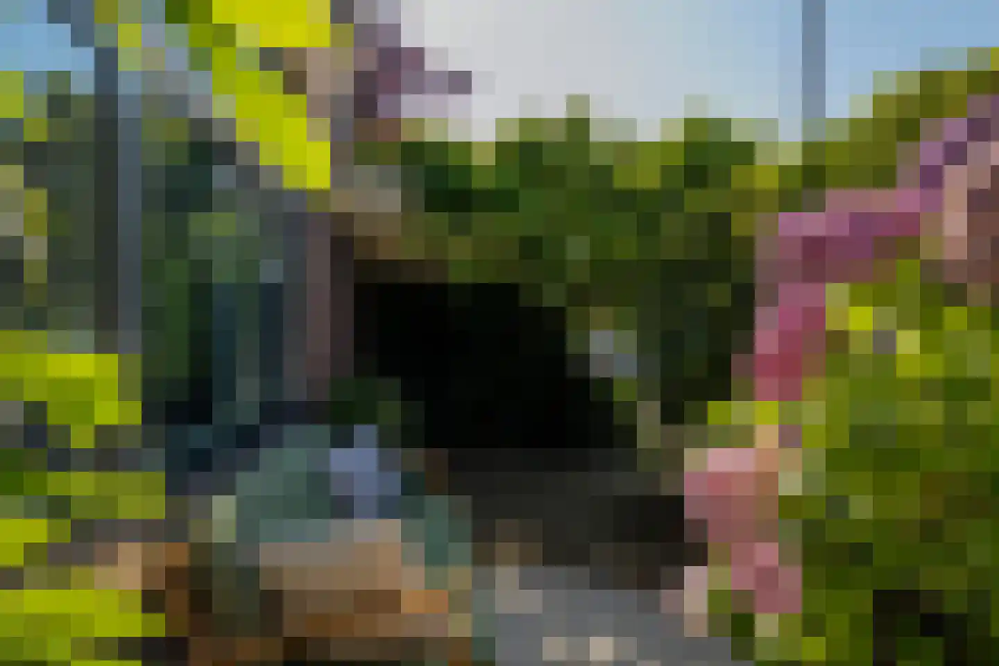 Schiebroekseweg 22 Rotterdam thumbnail 41