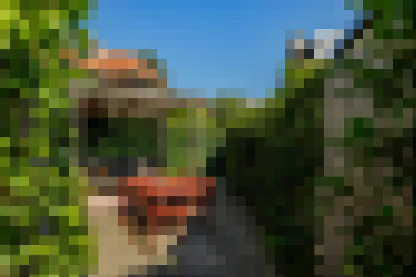 Schiebroekseweg 22 Rotterdam thumbnail 8