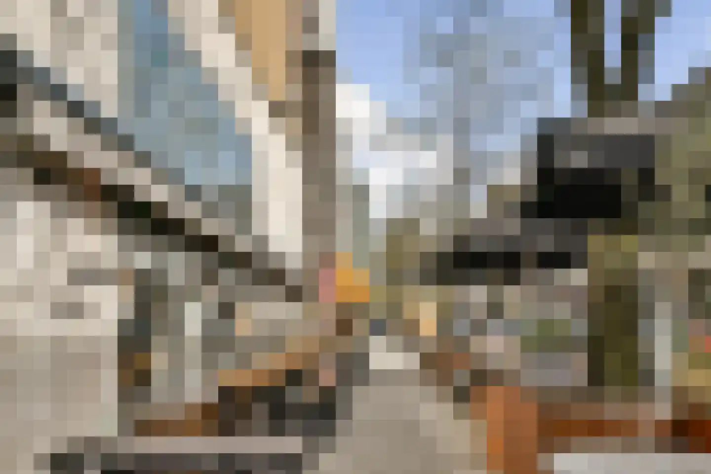 Schiedamse Vest 102 Rotterdam thumbnail 21