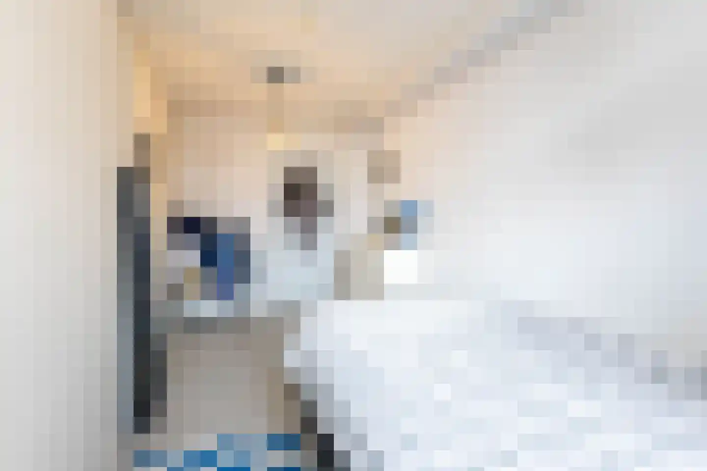 Schiedamse Vest 122 Rotterdam thumbnail 17