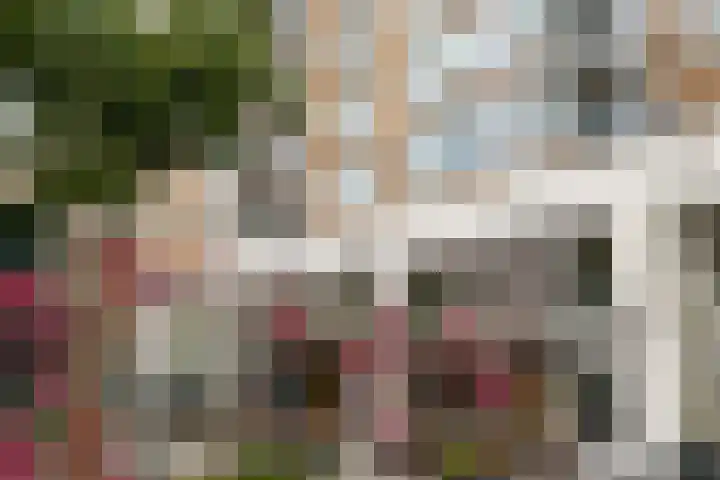 Schiedamse Vest 62 Rotterdam thumbnail 34