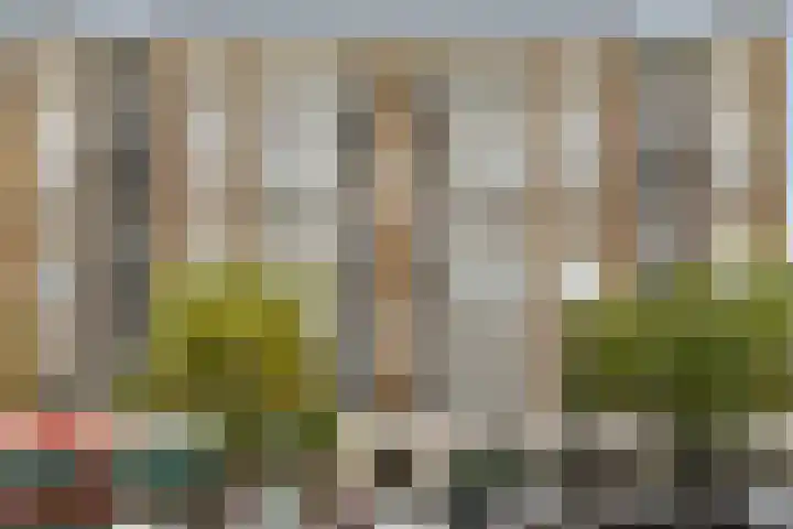 Schiedamse Vest 64 Rotterdam thumbnail 4