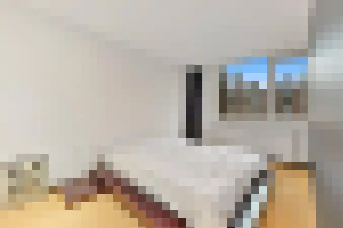 Schiedamse Vest 72 Rotterdam thumbnail 26