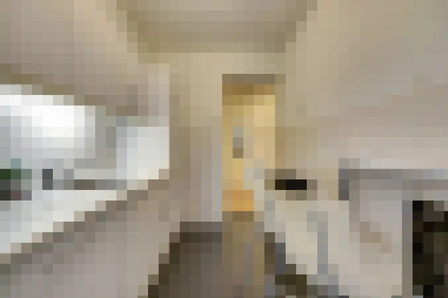 Schiedamse Vest 80 Rotterdam thumbnail 12