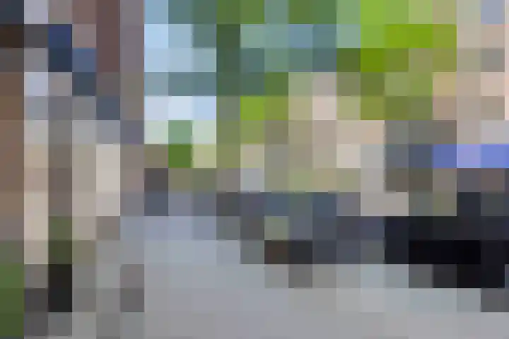 Schiedamse Vesthof 11 D Rotterdam thumbnail 32