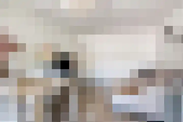 Schiedamse Vesthof 11 D Rotterdam thumbnail 9