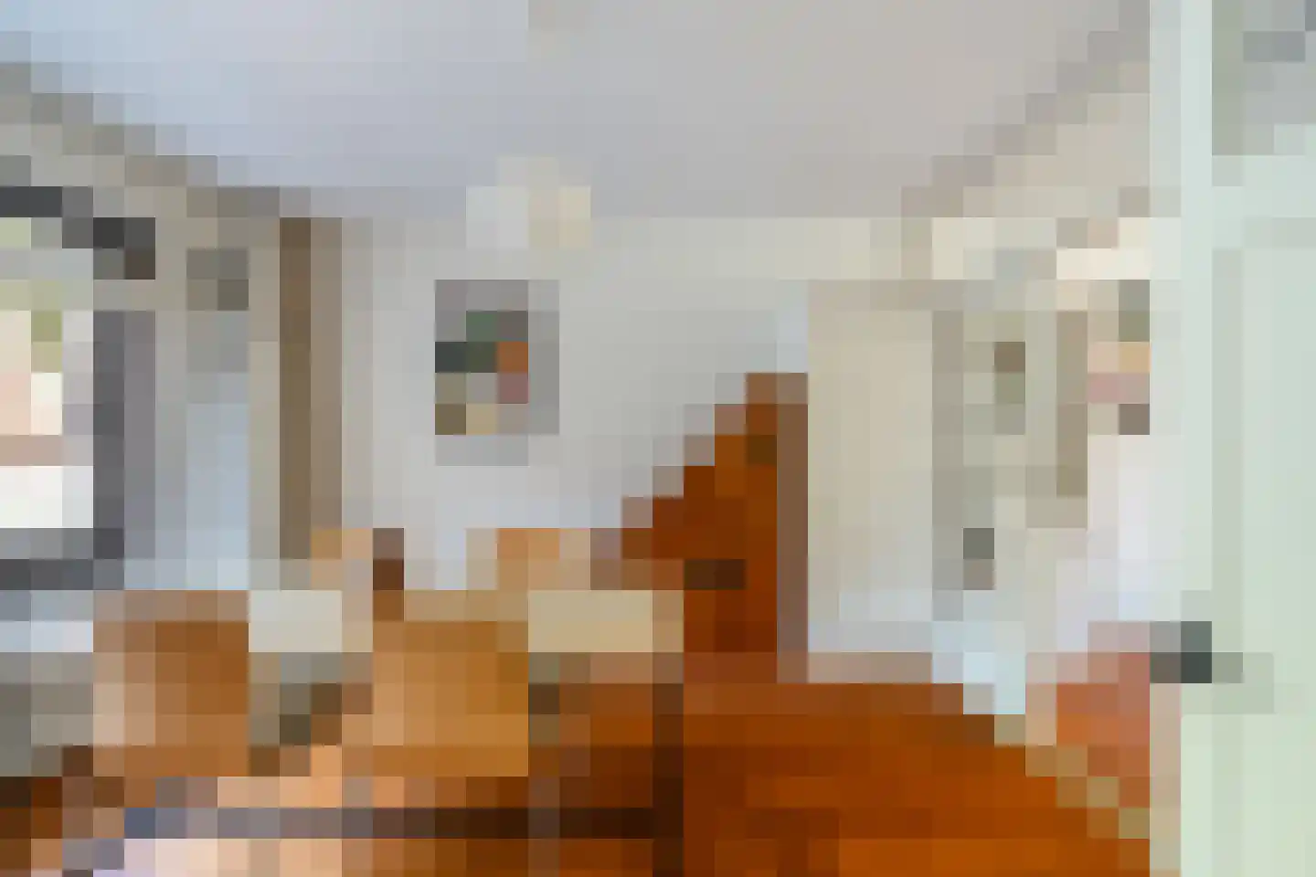 Schiedamse Vesthof 21 B Rotterdam thumbnail 12