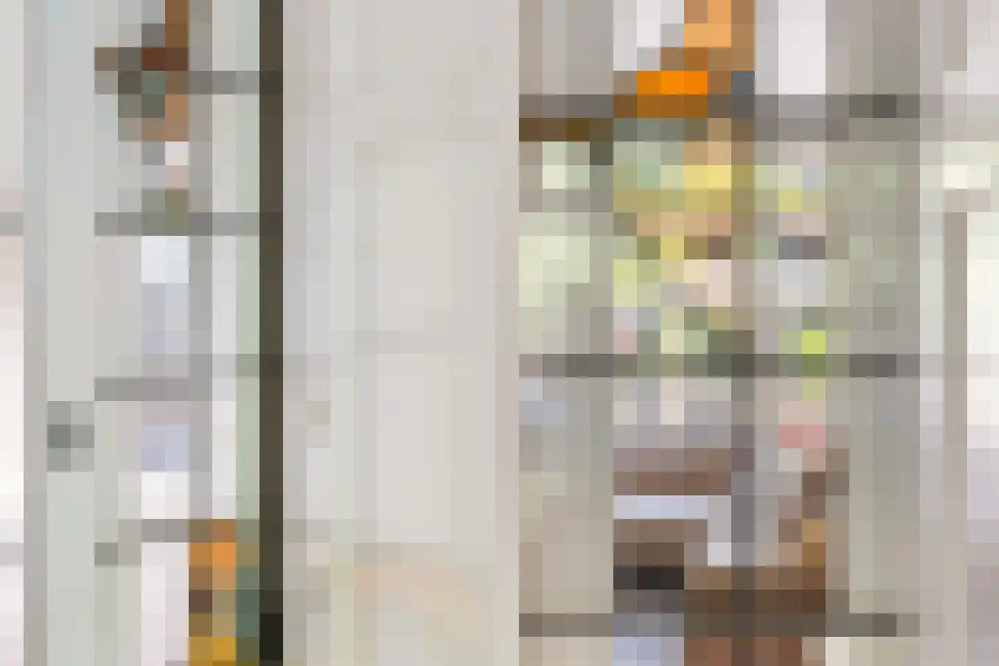 Schiedamse Vesthof 21 B Rotterdam thumbnail 13