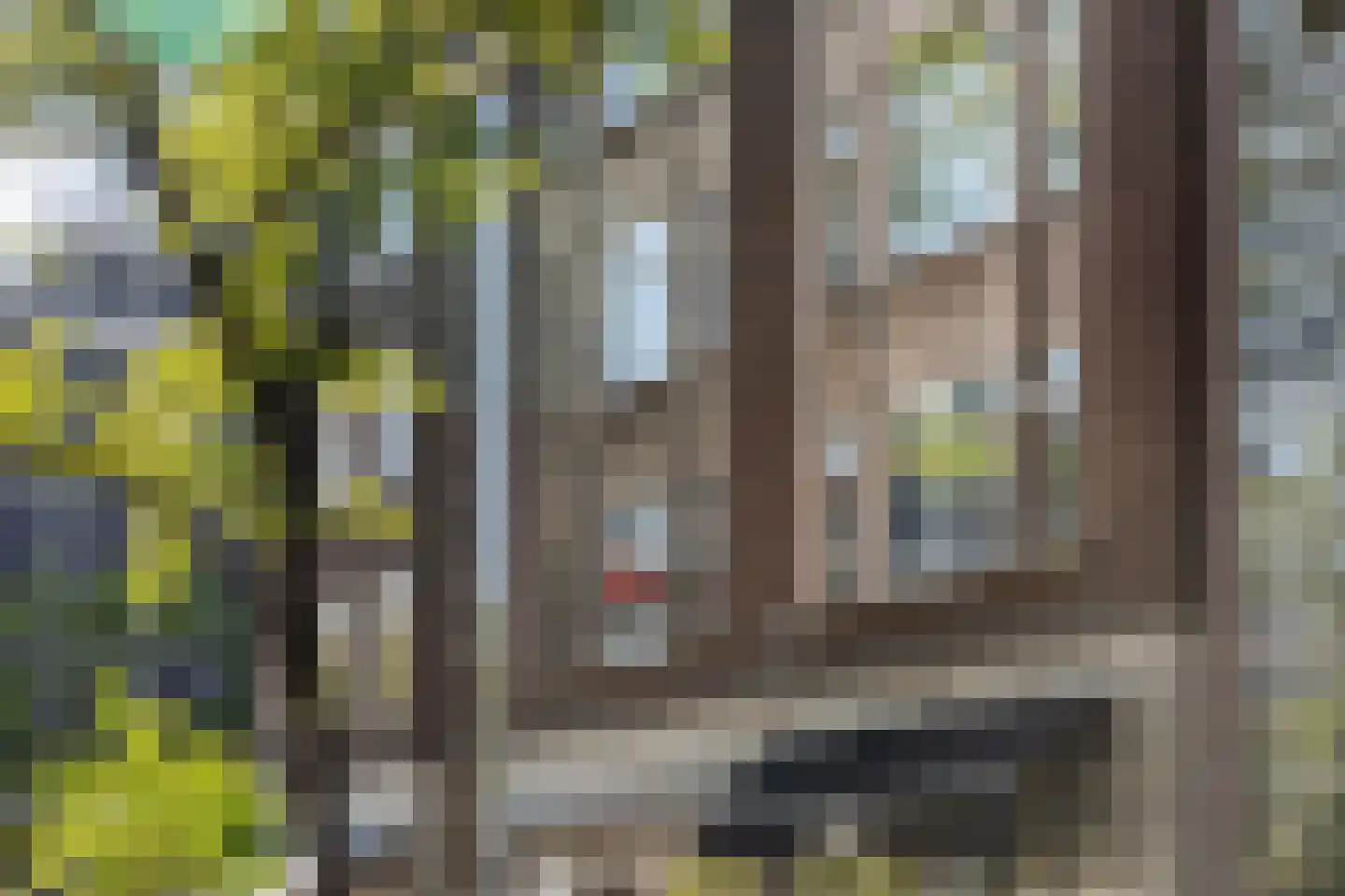 Schiedamse Vesthof 21 B Rotterdam thumbnail 29