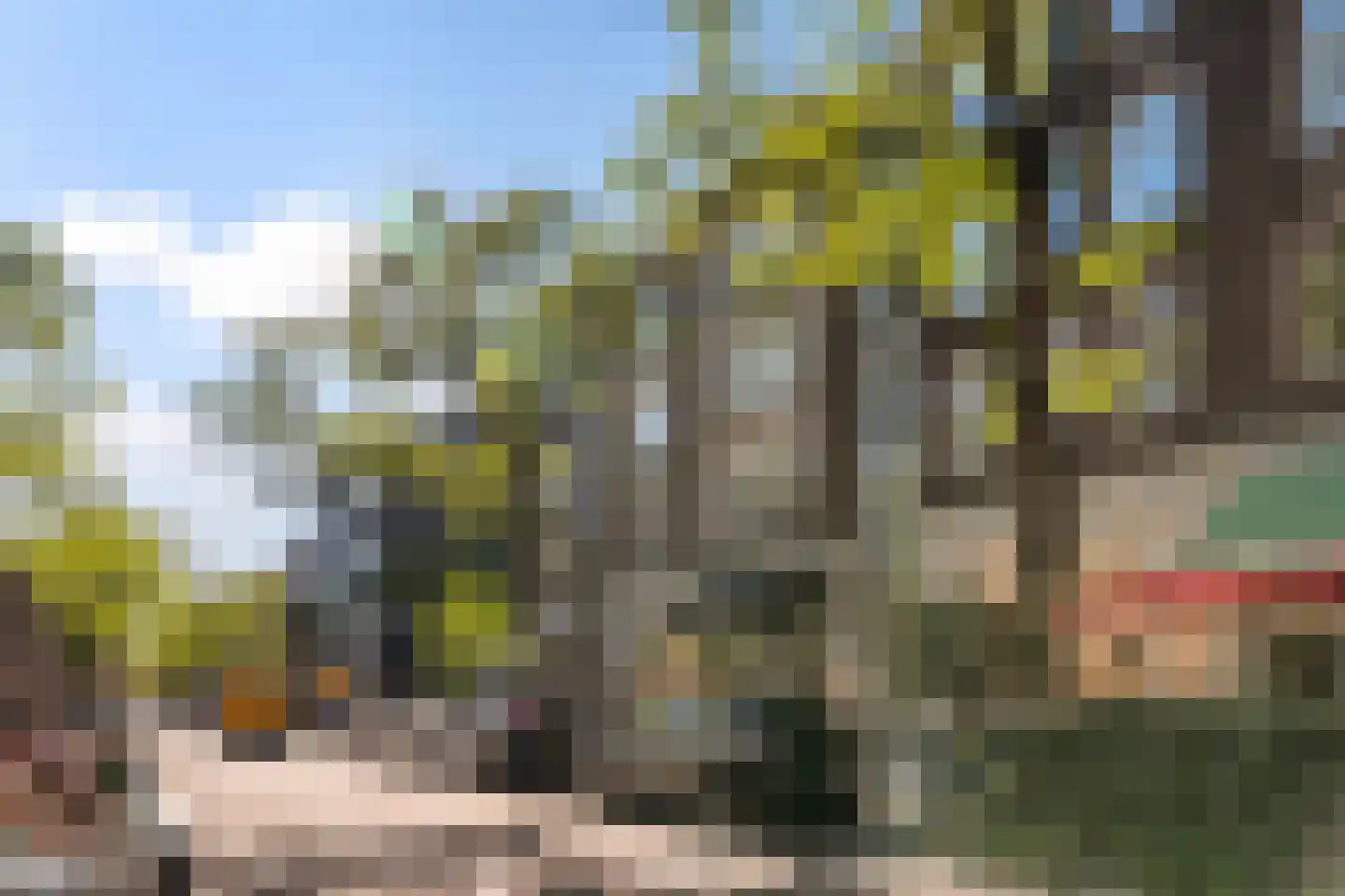 Schiedamse Vesthof 21 B Rotterdam thumbnail 5