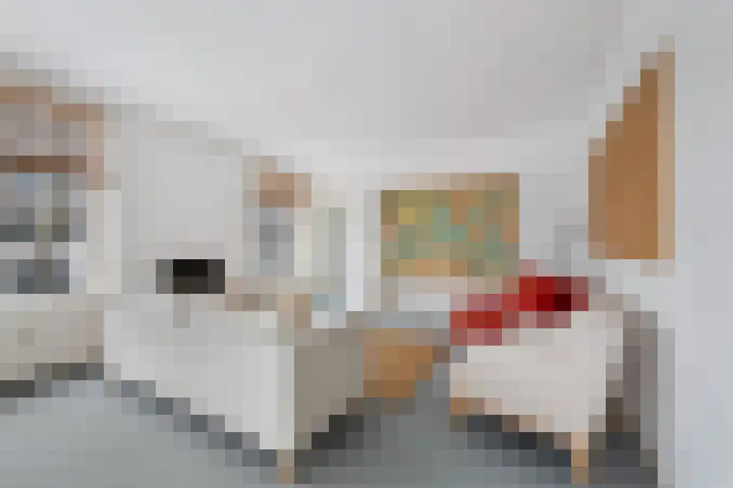 Schiedamse Vesthof 23 B Rotterdam thumbnail 11