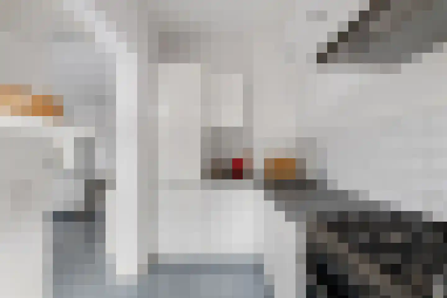 Schiedamse Vesthof 23 B Rotterdam thumbnail 7