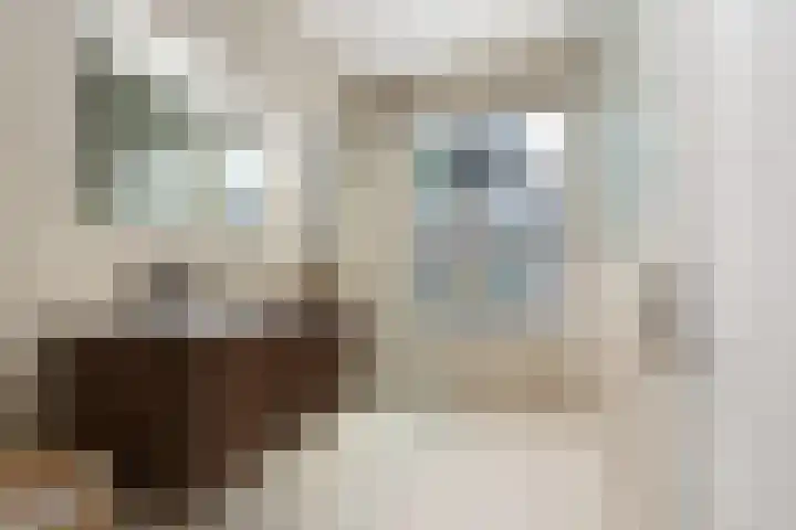 Schiedamse Vesthof 23 D Rotterdam thumbnail 11