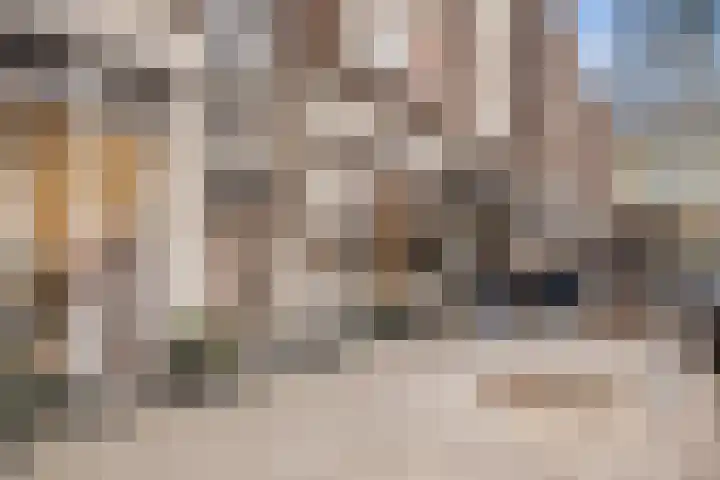 Schiedamse Vesthof 23 D Rotterdam thumbnail 20