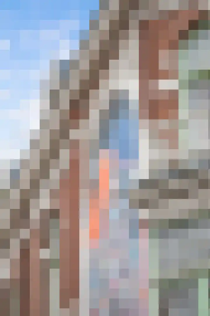 Schiedamse Vesthof 23 D Rotterdam thumbnail 24
