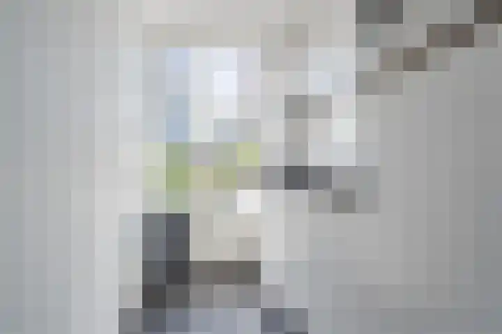 Schiedamse Vesthof 5 D Rotterdam thumbnail 24