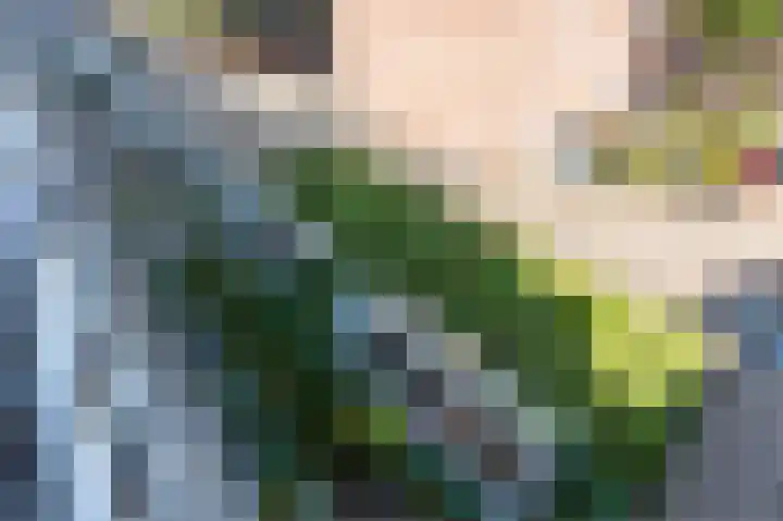 Schiedamse Vesthof 5 D Rotterdam thumbnail 32