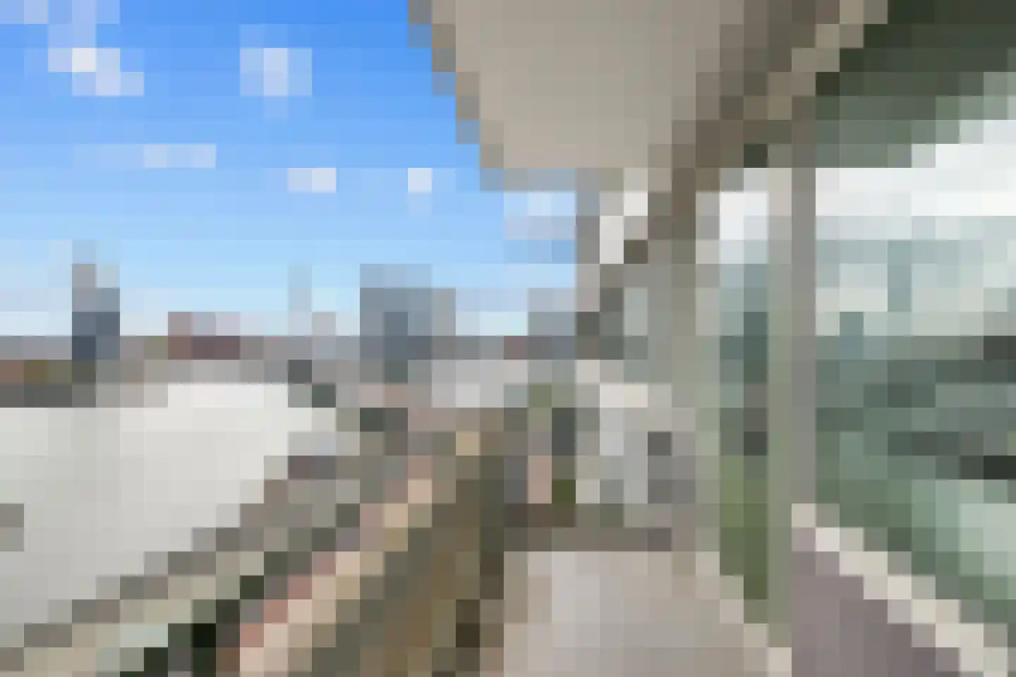 Schiedamsedijk 193 Rotterdam thumbnail 13