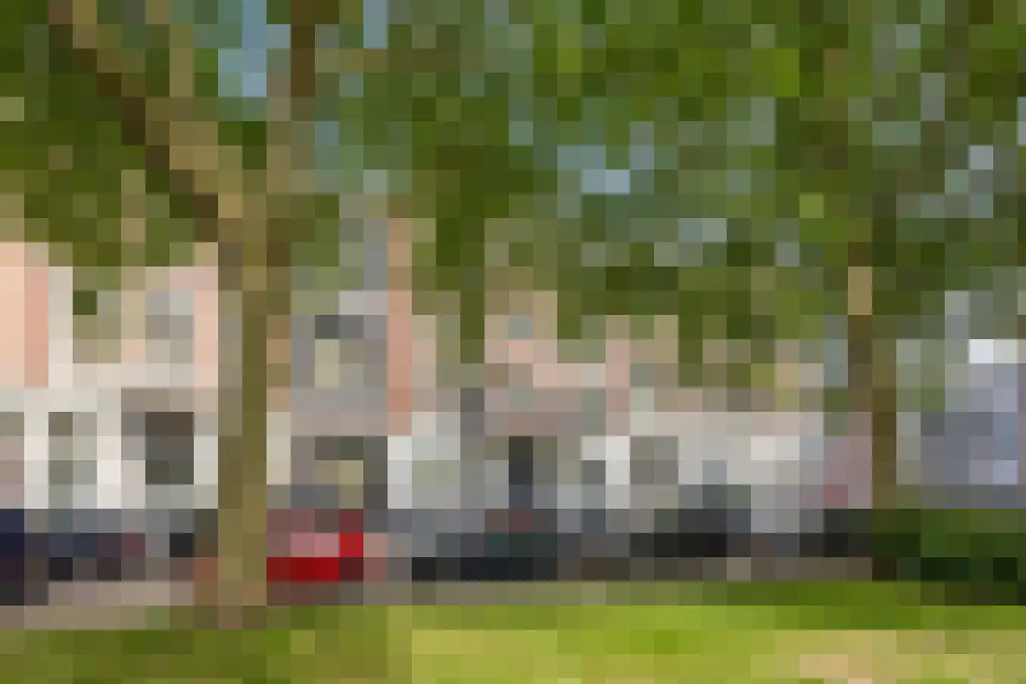 Schiedamsesingel 133 A Rotterdam thumbnail 5