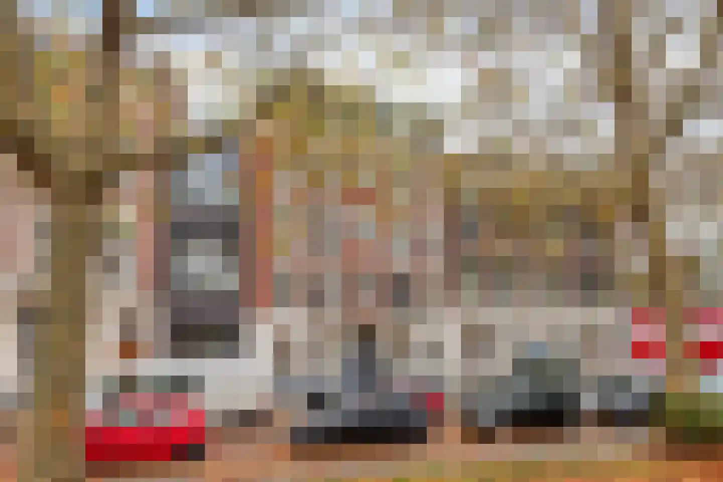 Schiedamsesingel 133 E Rotterdam thumbnail 5