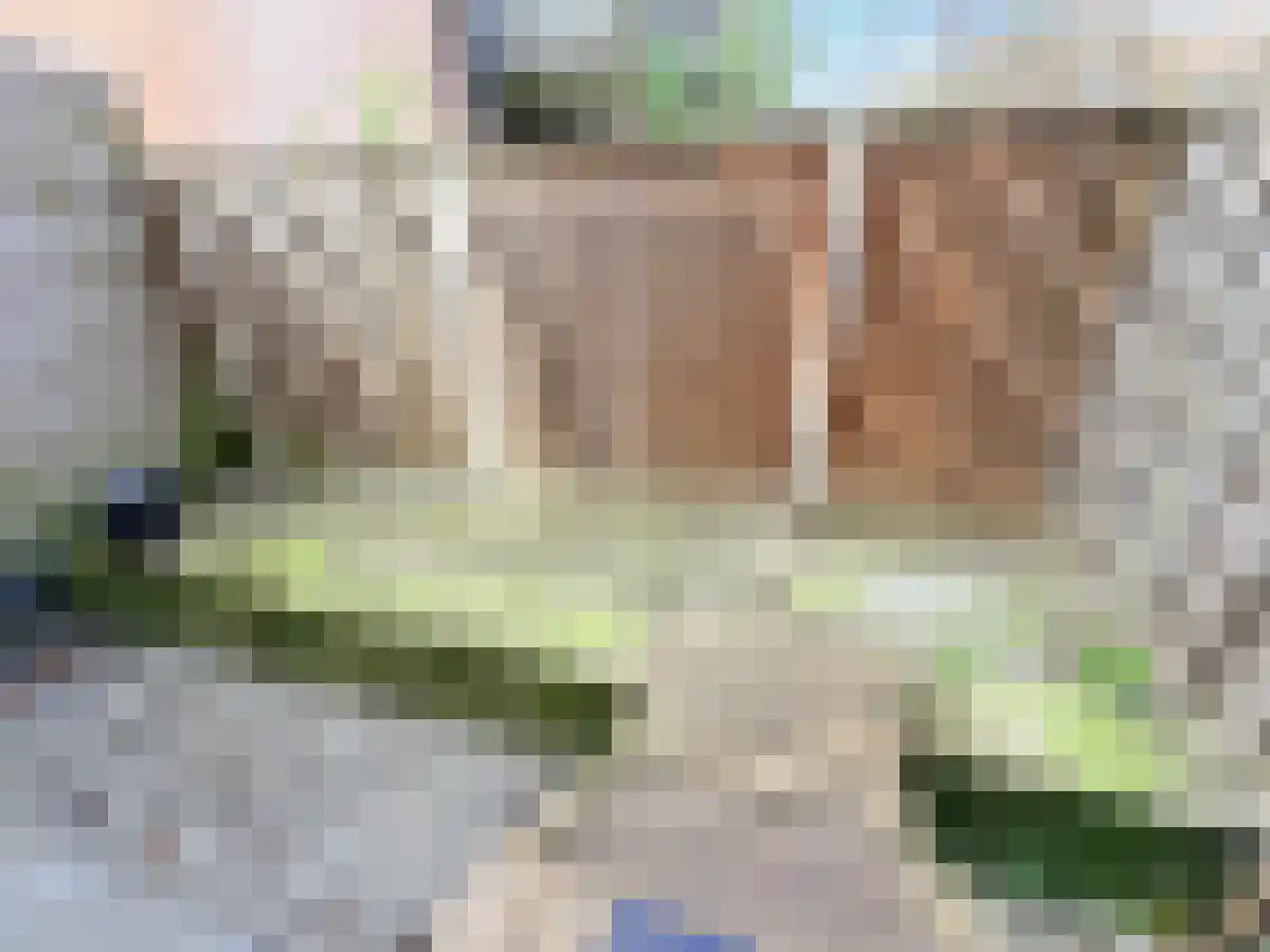 Schiedamsesingel 139 L Rotterdam thumbnail 4