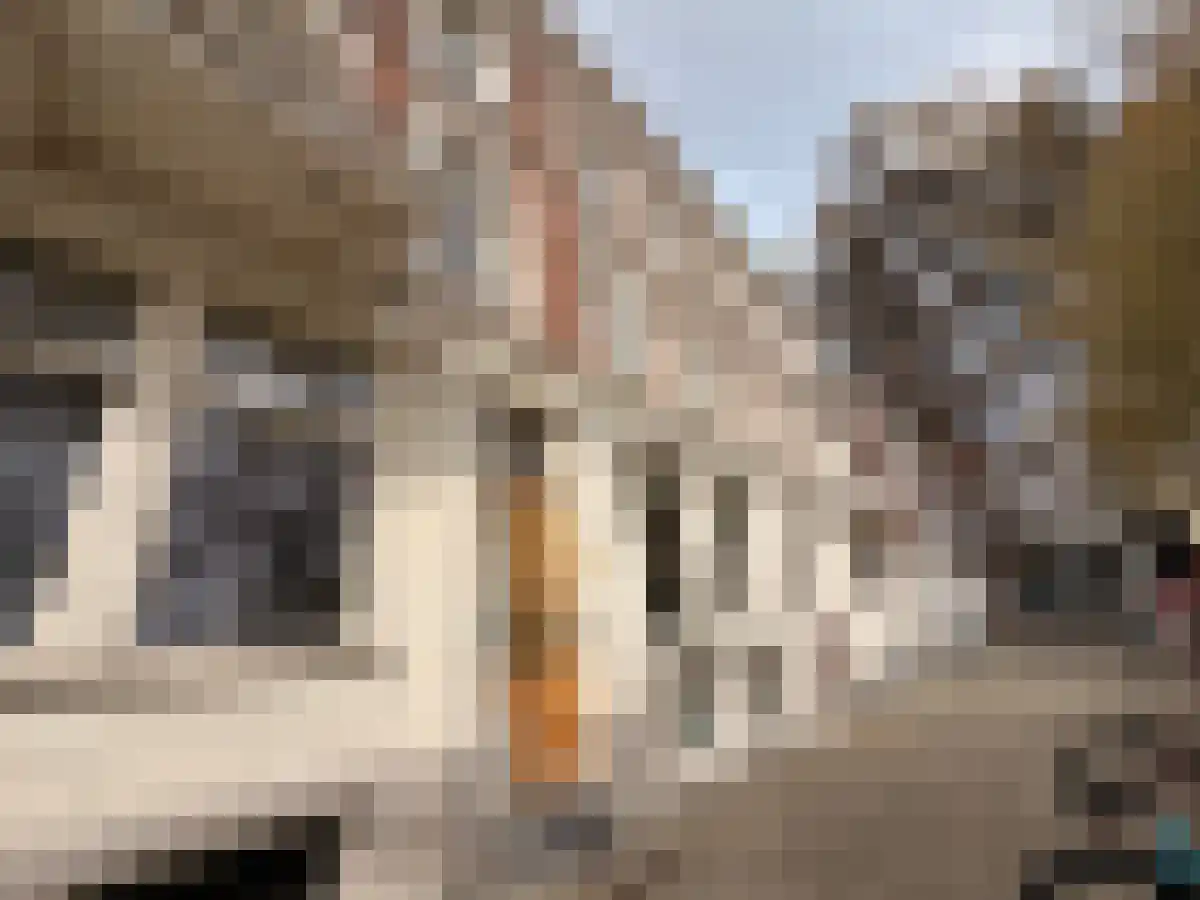 Schiedamsesingel 143 E Rotterdam