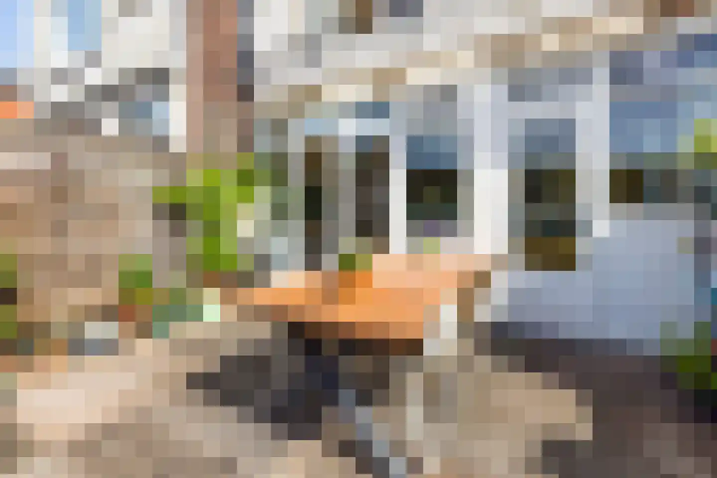 Schiedamseweg 10 A Rotterdam thumbnail 4
