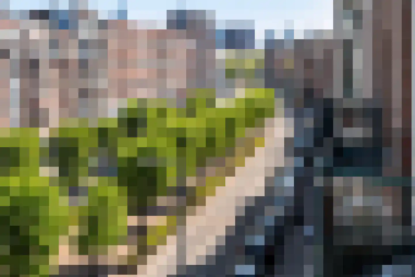 Schiedamseweg 114 A 03 Rotterdam thumbnail 31