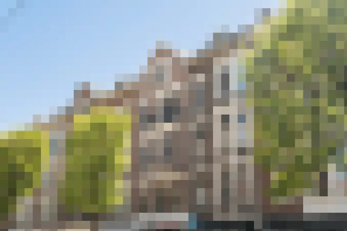 Schiedamseweg 114 A 03 Rotterdam thumbnail 4