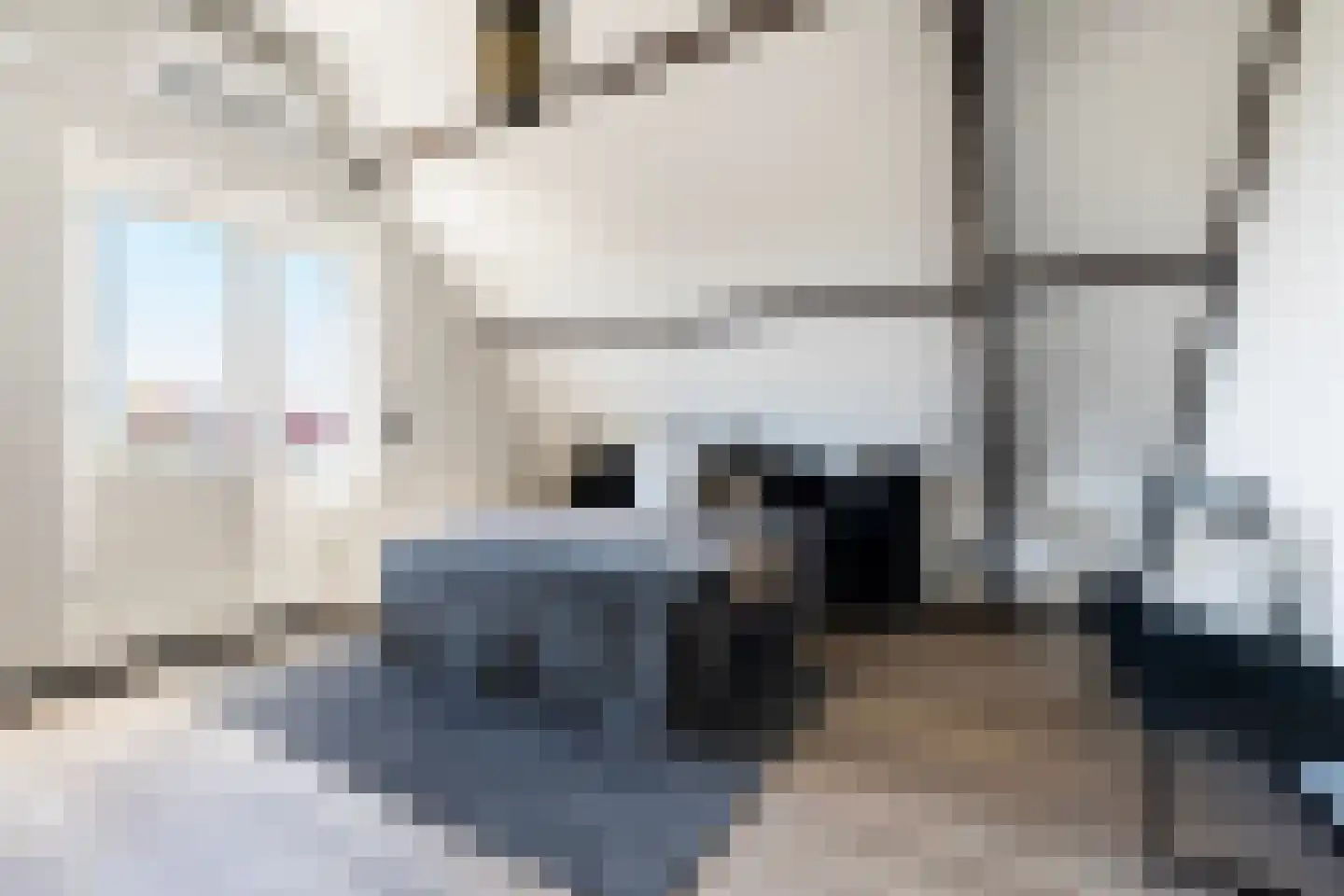 Schiedamseweg 114 A 03 Rotterdam thumbnail 44