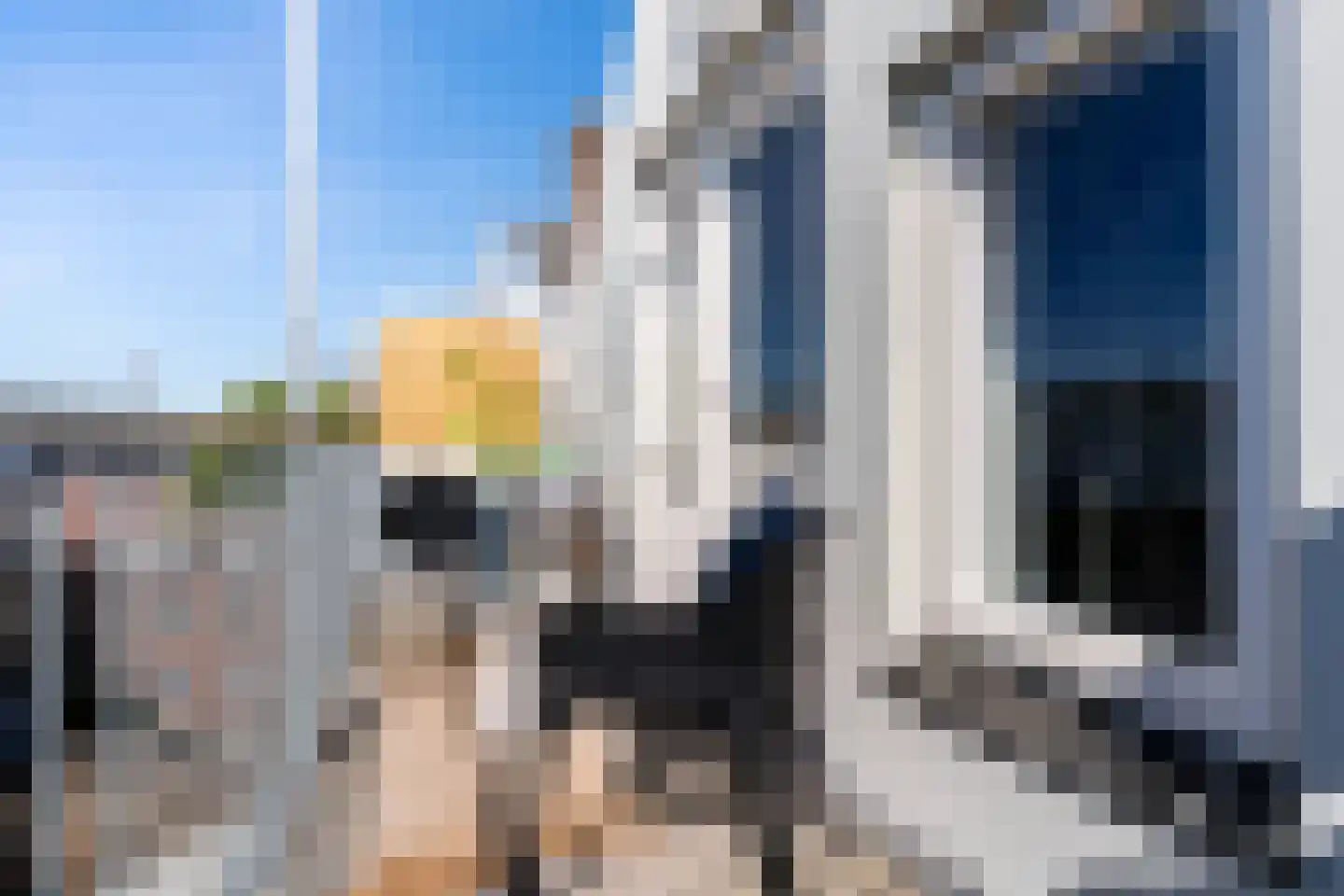 Schiedamseweg 114 A 03 Rotterdam thumbnail 50