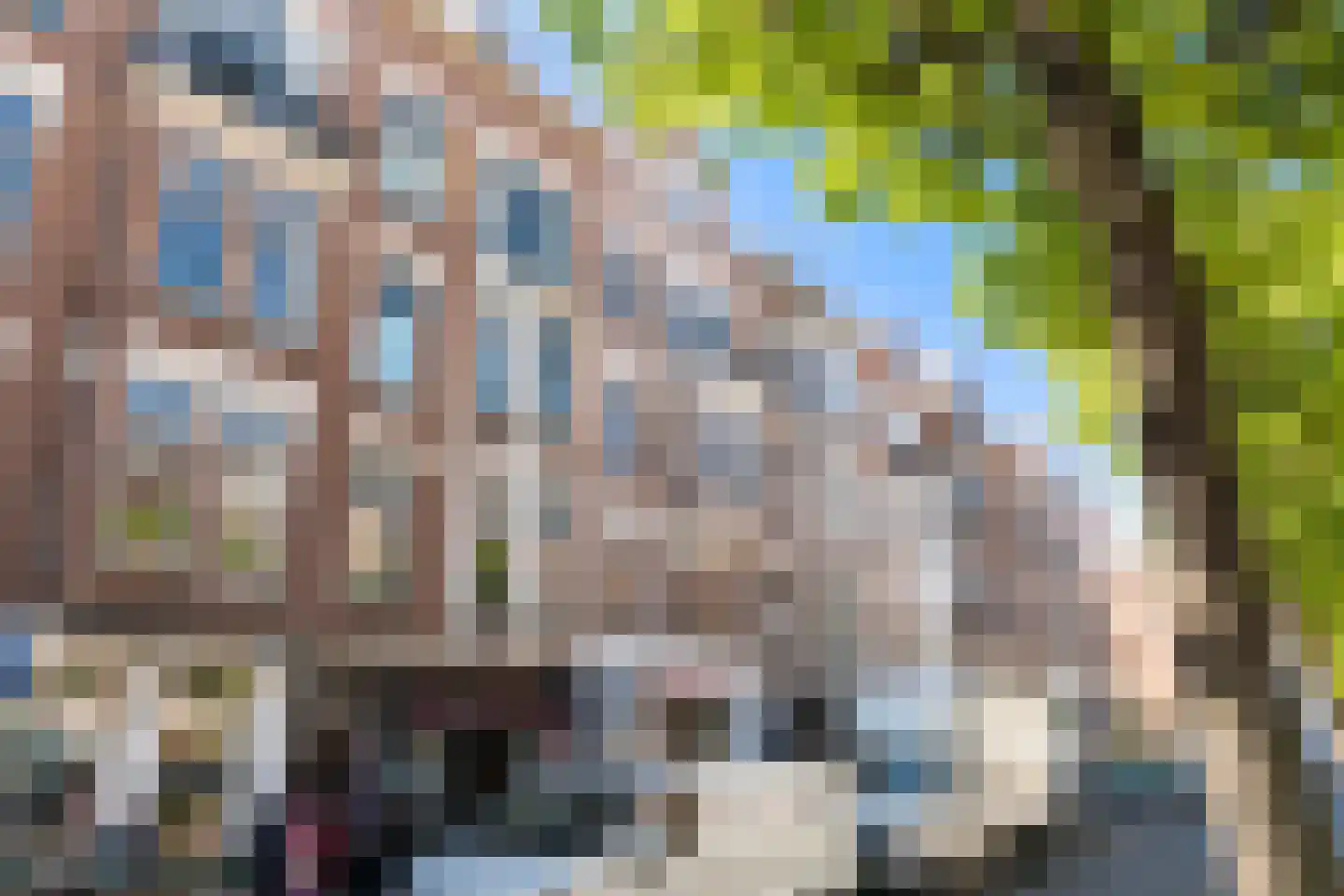 Schiedamseweg 114 A 03 Rotterdam thumbnail 63