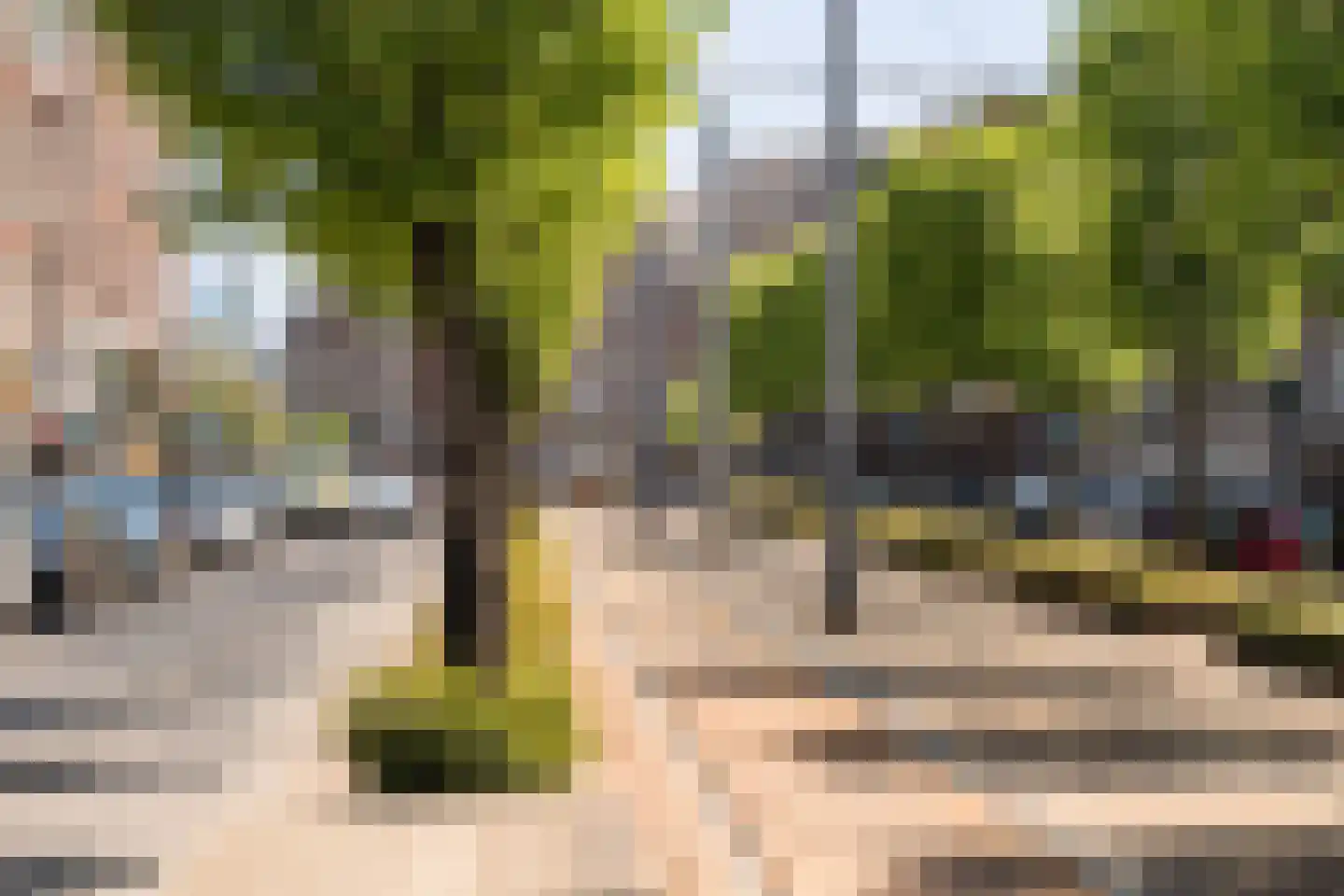 Schiedamseweg 114 A 03 Rotterdam thumbnail 66