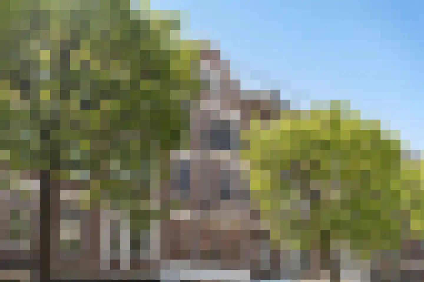 Schiedamseweg 114 A 03 Rotterdam thumbnail 69