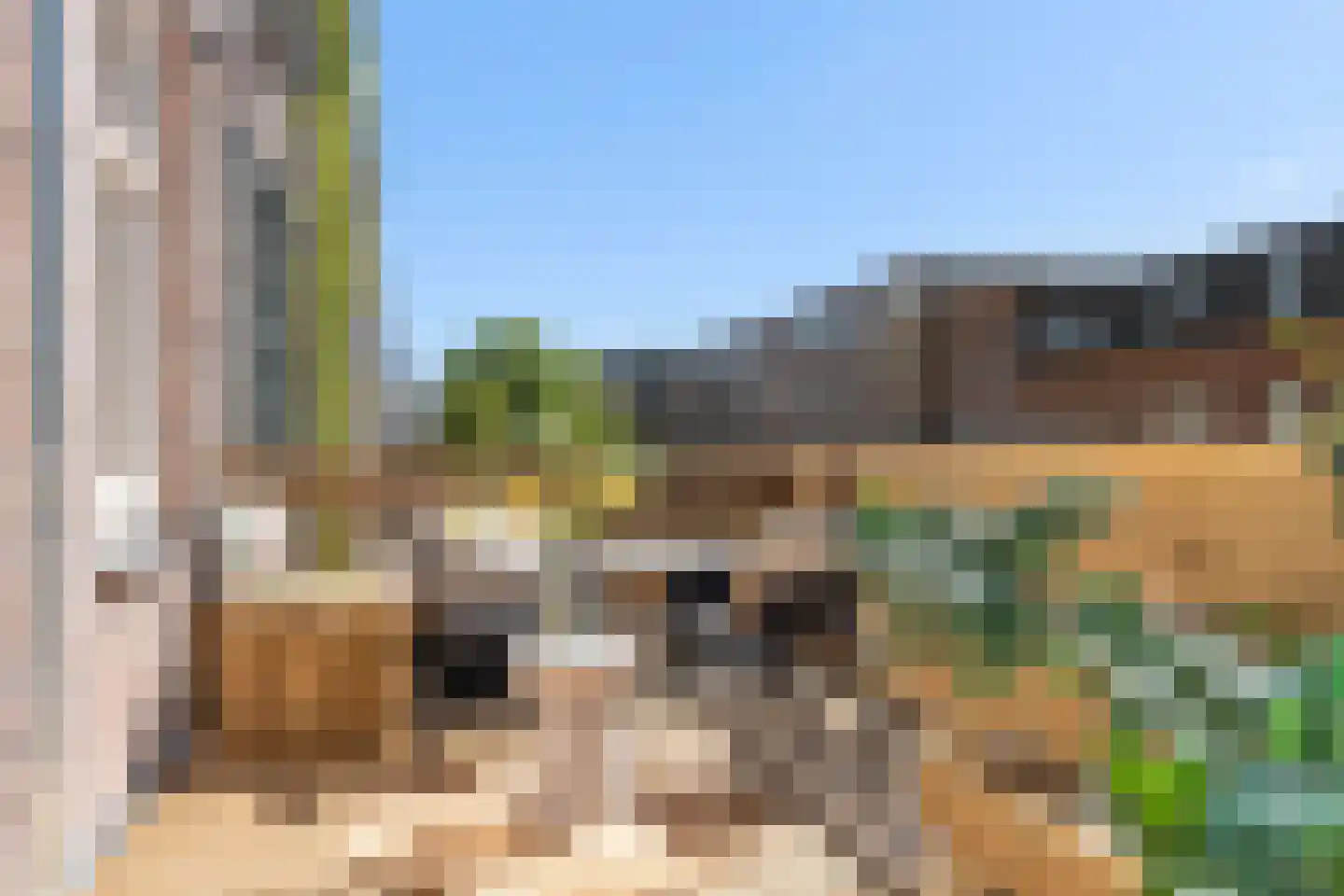 Schiedamseweg 114 B Rotterdam thumbnail 33