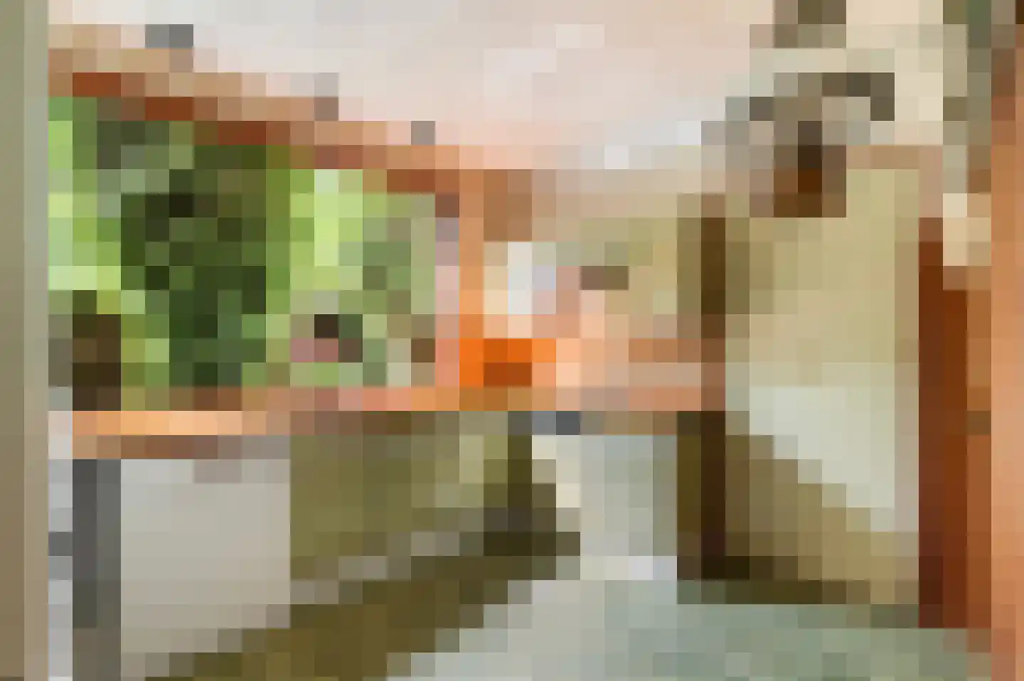 Schiedamseweg 114 Vlaardingen thumbnail 31