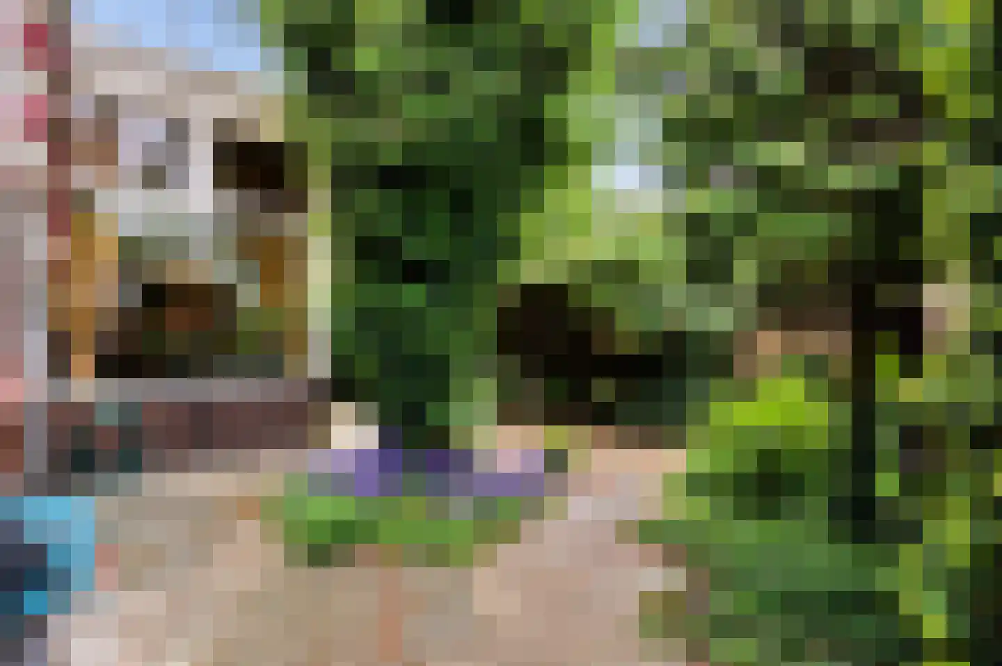 Schiedamseweg 114 Vlaardingen thumbnail 34
